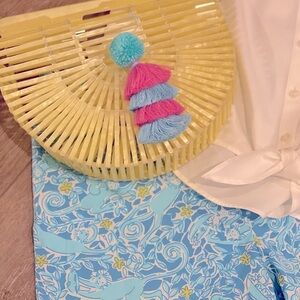 Fun summer acrylic fan handbag